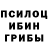 Псилоцибиновые грибы Cubensis Gisselle Rivas
