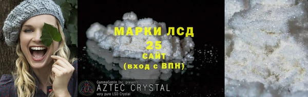 ГАЛЛЮЦИНОГЕННЫЕ ГРИБЫ Арсеньев