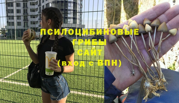 MDMA Premium VHQ Аркадак