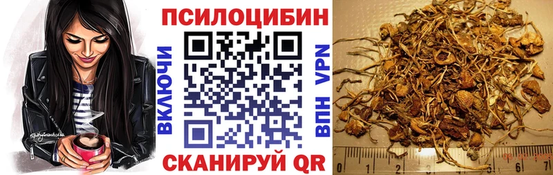 купить   нарко площадка официальный сайт  Галлюциногенные грибы Magic Shrooms  Глазов 