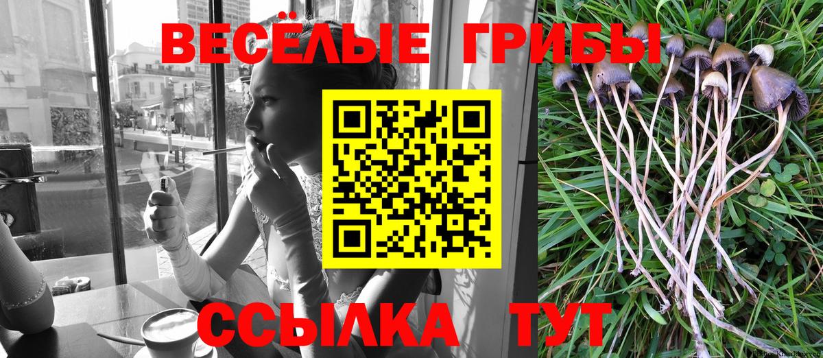 Галлюциногенные грибы Magic Shrooms  Галлюциногенные грибы Magic Shrooms  Глазов  Вход с VPN 